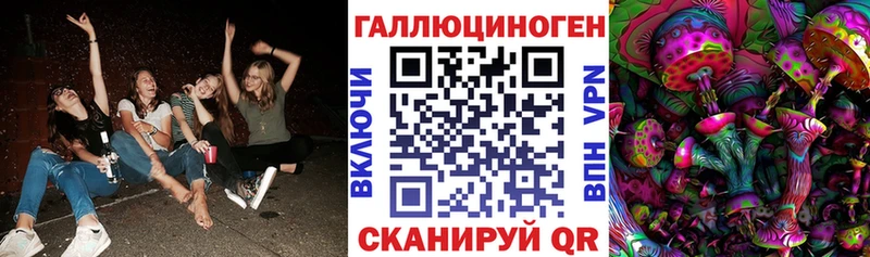 Псилоцибиновые грибы мицелий  Ершов 
